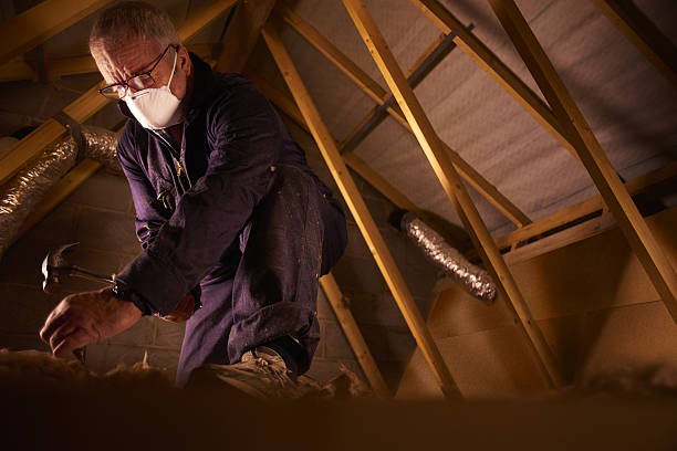 Best Eco-Friendly Insulation in Pineville, KY
